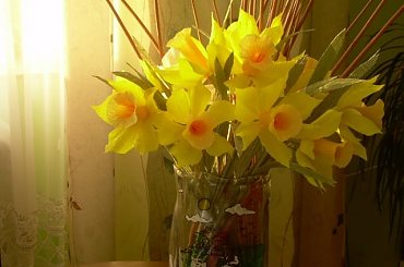 Bibułkowe narcyze #RĘKODZIEŁOARTYST