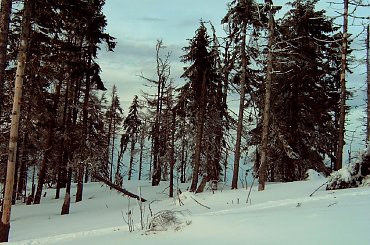 Turbacz 28-31 Stycznia 2008 #Matys #turbacz #podhale #gorce #gpn #czolo #turbacza