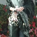 MK heading to her-paparazzi luty 2008