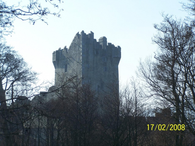 Zamek Ross w Killarney #ZamekRoss