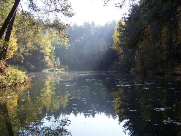 na spacerku..i w sloneczku