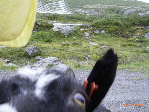 Norwegia,Szwecja-powrót do kraju