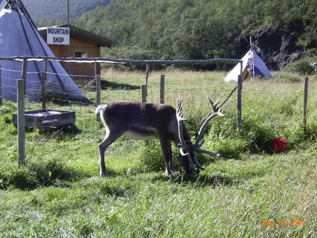 Norwegia-zwiedzanie i powrót do kraju