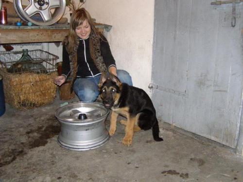 pucu pucu... :)