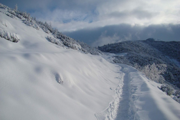 ścieżka w górach #ścieżka #zima #góry #tatry