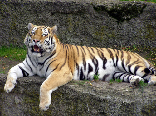 ogród zoologiczny w Łodzi