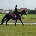 Prawdziwą wolność można poczuć, tylko cwałując na grzbiecie konia..