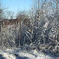 zima #przyroda #natura #zima #krajobraz #JeleniaGóra #drzewa #śnieg