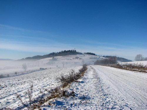 łysa góra #przyroda #natura #zima #krajobraz #JeleniaGóra #drzewa #śnieg #karkonosze