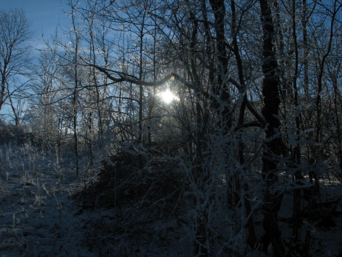 promienie słońca #przyroda #natura #zima #PromienieSłońca #śnieg