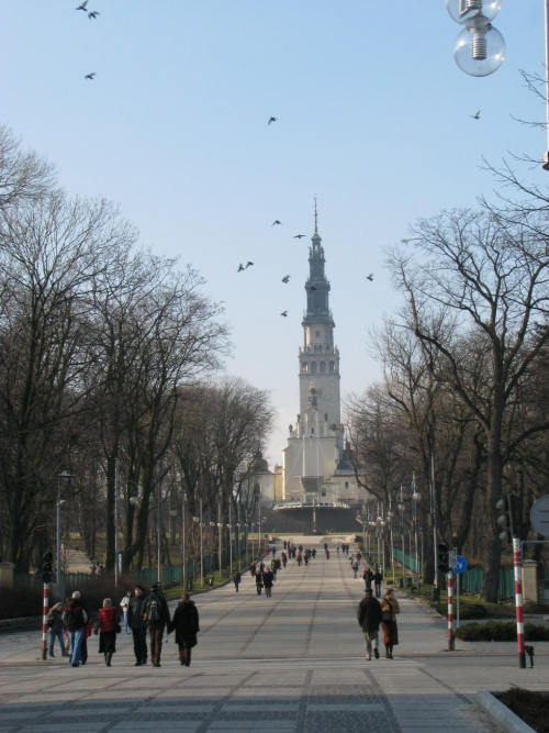 Parki rozdziela aleja wiodąca wprost do klasztoru #park