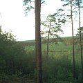 leśna panorama #widoki