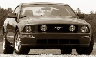 Mustang