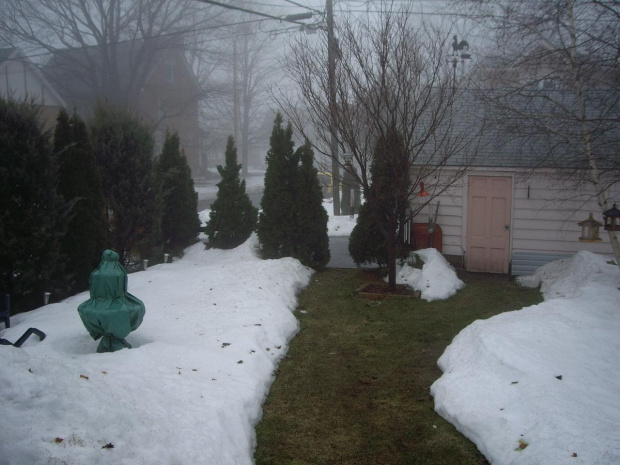 u mnie nadal zima i mgla - 31 marca 2008