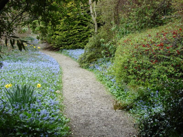 Mount Usher Gardens