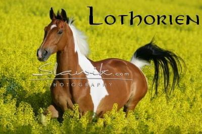 lothorien