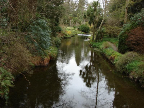 Mount Usher Gardens