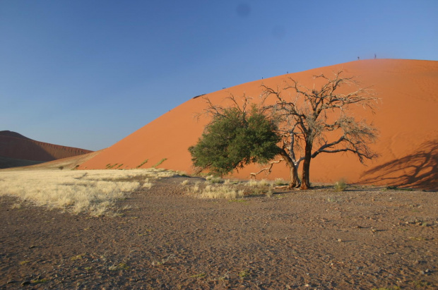 Afryka #Namibia #afryka #pustynia #wydmy