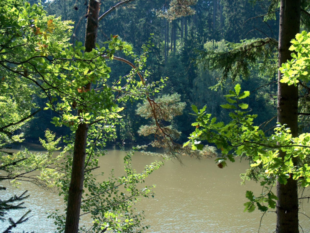 Jezioro Wrzeszczyńskie i okolice #ZaporaWodna #krajobraz #ElektrowniaWodna #pilchowice #JeleniaGóra #tama #bóbr #natura #przyroda #rzeka #jezioro #las