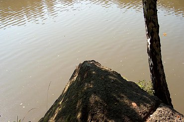 Jezioro Wrzeszczyńskie i okolice #ZaporaWodna #krajobraz #ElektrowniaWodna #pilchowice #JeleniaGóra #tama #bóbr #natura #przyroda #rzeka #jezioro #las