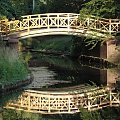mostek w parku Szczytnickim #mostek #park #woda