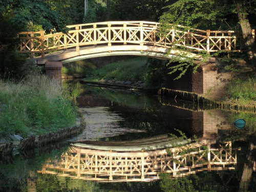 mostek w parku Szczytnickim #mostek #park #woda