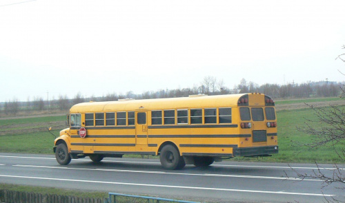 #autobus #SchoolBus #szkolny #szkoła
