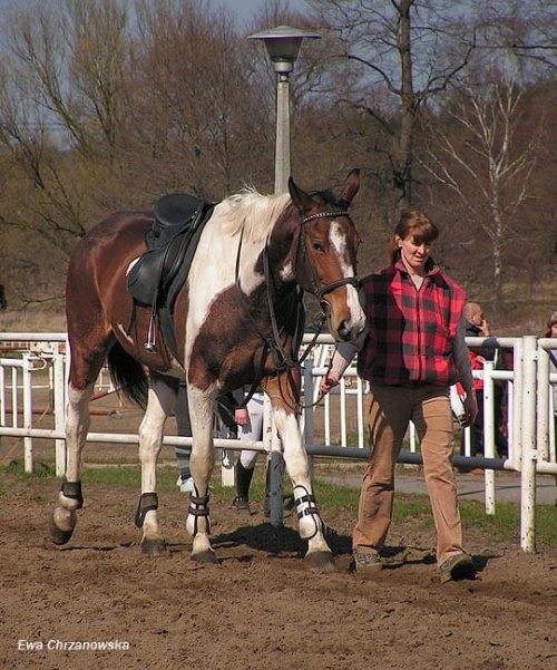 30.03.2008 Halowe Zawody w Stodołach