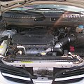 Nissan Almera Tino 2,2Di RP: 03/2001