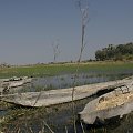 Delta Okavango,Botswana #DeltaOkavango #Botswana #kanoe