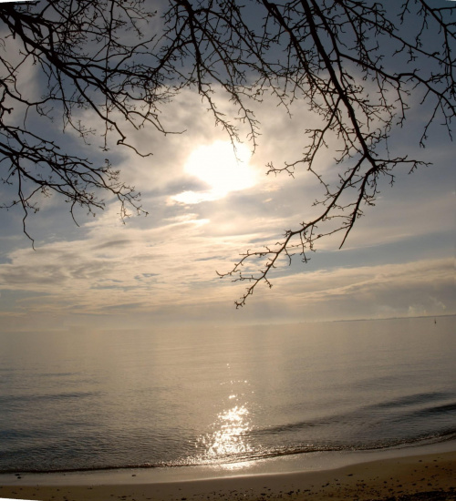 #słońko #słońce #gdynia #orłowo #wiosna #plaża #morze #woda #gałązki