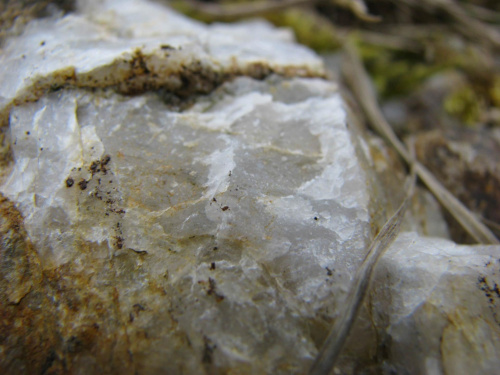kamień #przyroda #natura #kamień #skała #makrofotografia #kwarc