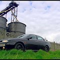 alfa 156 norbiwolow