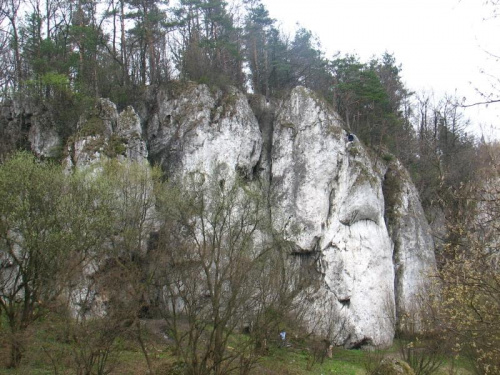 Jura krakowsko - częstochowska