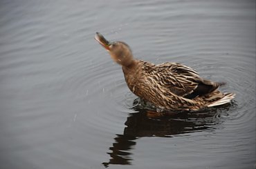 zakręcona #krzyżówka