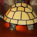 żółwik #żółw #żółowik #kolekcja