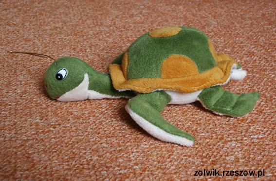 żółwik #żółwik #żółw #kolekcja