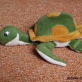 żółwik #żółwik #żółw #kolekcja