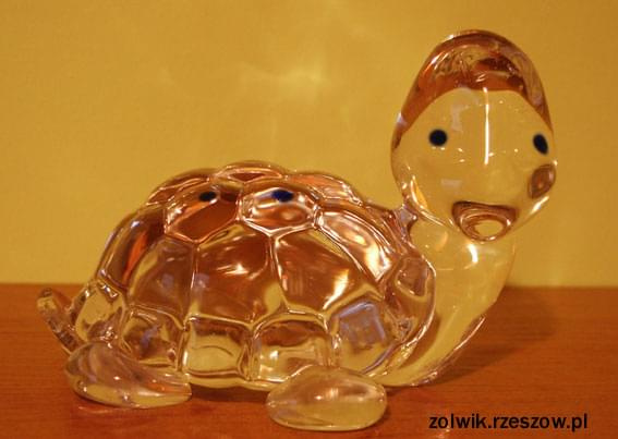 żółwik szklany #żółw #żólwik #kolekcja
