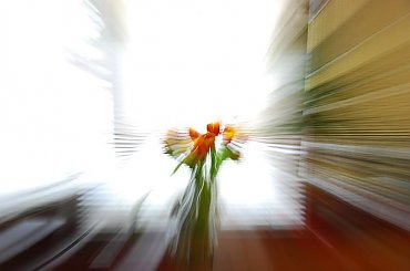 Zabawa zoomem #eksperymenty