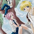 Naruto Sakurcia i Sasuke