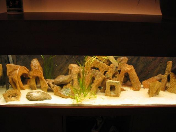 Akwarium 240l
