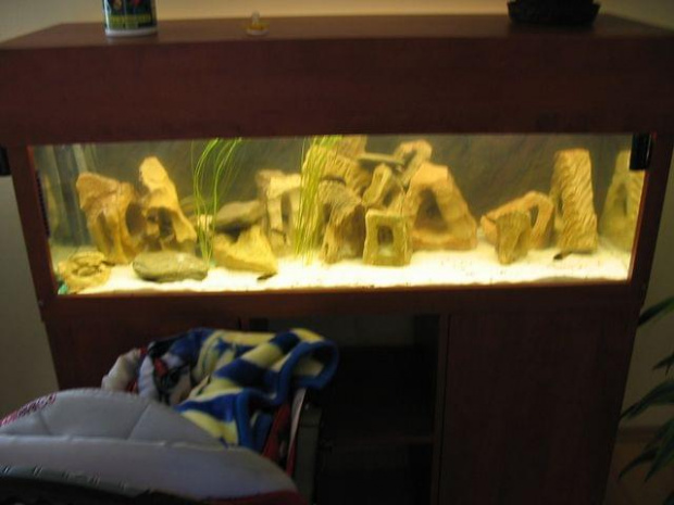 Akwarium 240l