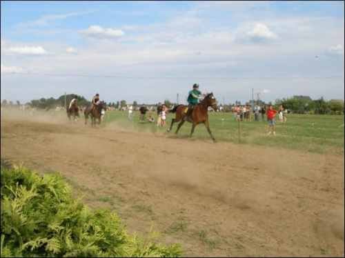 #Popielów #Wyścigi #skoki #konie #kalinówka #bryczki #wakacje