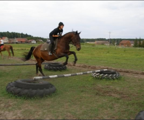 #kalinówka #konie #ObózKonny #skoki #galop #Wakacje2007