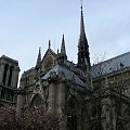 Notre Dame