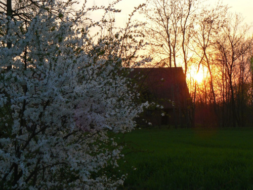 wiosna ach to ty-malujesz nasz świat-a słonce gdzieś z dala spogląda:) #mazury