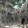 Kambodża - świątynia w dżungli Ta Prohm w kompleksie Angkor