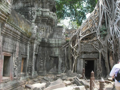 Kambodża - świątynia w dżungli Ta Prohm w kompleksie Angkor