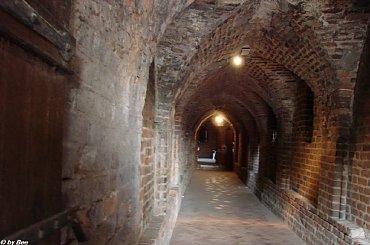 Ruiny zamku krzyżackiego w Toruniu #zamki #zwiedzanie #Toruń #Krzyżacy